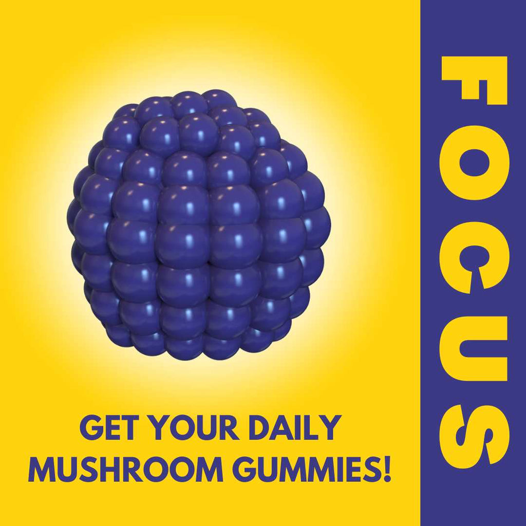 Focus Gummies